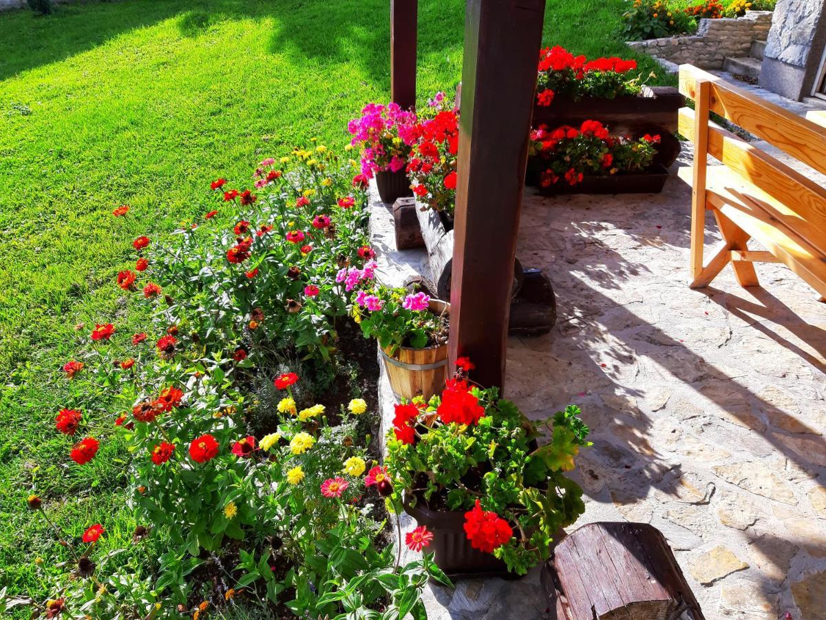 Peter'S Pine Cottage Korenica Dış mekan fotoğraf